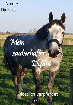 Mein zauberhafter Elefant (eBook, ePUB) - Diercks, Nicole