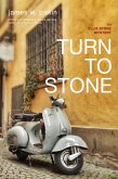 Turn to Stone (eBook, ePUB)