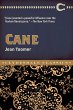 Cane (eBook, ePUB) - Bild 1