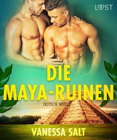 Die Maya-Ruinen: Erotische Novelle (eBook, ePUB) - Salt, Vanessa