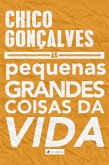 As pequenas grandes coisas da vida (eBook, ePUB)