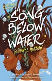 A Song Below Water (eBook, ePUB)