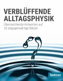 Spektrum Spezial - Verblüffende Alltagsphysik (eBook, ePUB)