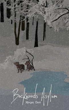 Backwoods Asylum (Lost Shifters, #1) (eBook, ePUB) - Derr, Megan