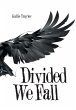 Divided We Fall - Bild 1