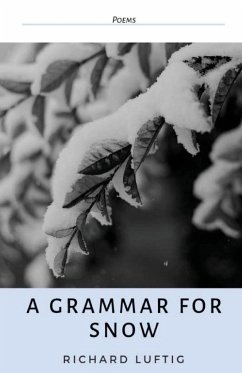 A Grammar for Snow - Luftig, Richard