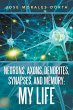 Neurons, Axons, Dendrites, Synapses,... - Bild 1