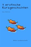 3 erotische Kurzgeschichten (eBook, ePUB)
