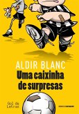 Uma caixinha de surpresas (eBook, ePUB)
