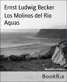 Los Molinos del Rio Aquas (eBook, ePUB)