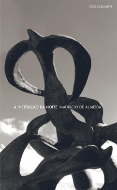 Cover A instrução da noite (eBook, ePUB)