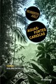 Águas-fortes cariocas (eBook, ePUB)