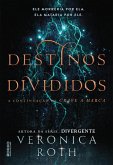Destinos divididos (eBook, ePUB) Destinos divididos (eBook, ePUB)