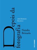 Depois da fotografia (eBook, ePUB)