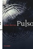 Pulso (eBook, ePUB)