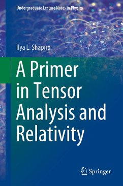 A Primer in Tensor Analysis and Relativity (eBook, PDF) - Shapiro, Ilya L.