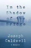 In the Shadow of the Bridge (eBook, ePUB)