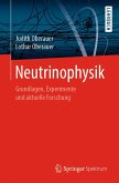 Neutrinophysik (eBook, PDF)