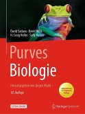 Purves Biologie (eBook, PDF)