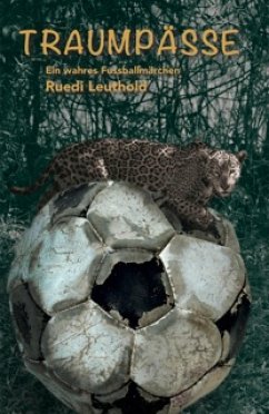 Traumpässe (eBook, ePUB) - Leuthold, Ruedi