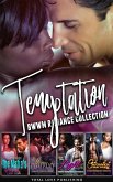 Temptation : BWWM Romance Collection (eBook, ePUB) Temptation : BWWM Romance Collection (eBook, ePUB)