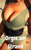 Orgie am Strand (eBook, ePUB)