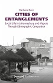 Cities of Entanglements (eBook, PDF)