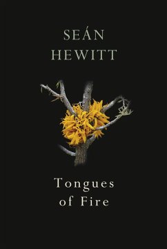 Tongues of Fire (eBook, ePUB) - Hewitt, Seán