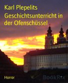 Geschichtsunterricht in der Ofenschüssel (eBook, ePUB)