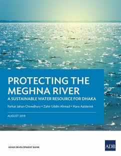 Cover Protecting the Meghna River (eBook, ePUB)