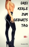 Drei Kerle zum Geburtstag (eBook, ePUB)