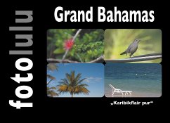 Grand Bahamas (eBook, ePUB)