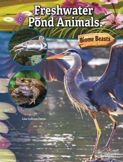 Freshwater Pond Animals - Cocca