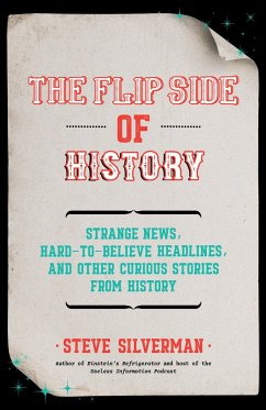 The Flip Side of History - Silverman, Steve