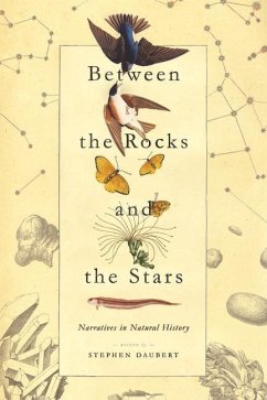 Between the Rocks and the Stars - Daubert, Stephen