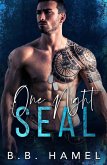 One Night SEAL (SEAL Team Hotties, #2) (eBook, ePUB)