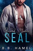 Second Chance SEAL (SEAL Team Hotties, #1) (eBook, ePUB)