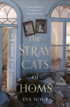 The Stray Cats of Homs - Nour, Eva