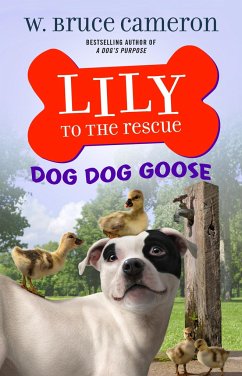 Lily to the Rescue: Dog Dog Goose - Cameron, W Bruce
