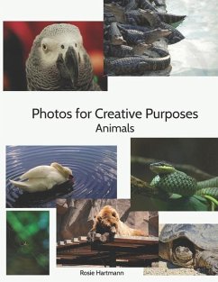 Photos For Creative Purposes: Animals - Hartmann, Rosie