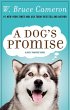 A Dog's Promise - Bild 1