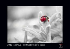 Ladybug - the most beautiful spots 2020 - Black Edition - Timocrates wall calendar with US holidays / picture calendar / photo calendar - DIN A4 (30 x 21 cm) - Herausgeber: Timokrates Verlag