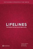 Lifelines: The Resilient Infrastructure Opportunity