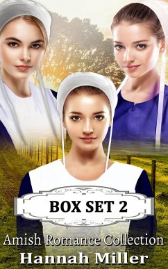 Cover Amish Romance Collection Box Set 2 (eBook, ePUB)