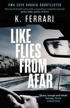 Like Flies from Afar (eBook, ePUB) - Ferrari, K.