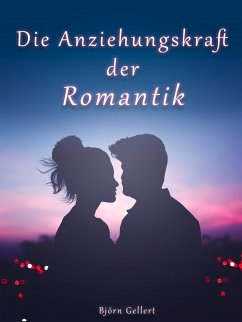 Die Anziehungskraft der Romantik (eBook, ePUB) - Gellert, Björn