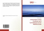 Interactions entre Caulerpa sp & Cymodeocea sp en Méditerranée