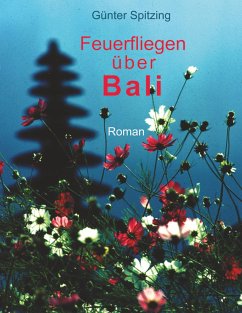Cover Feuerfliegen über Bali
