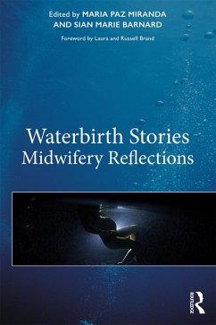 Cover Waterbirth Stories (eBook, PDF)