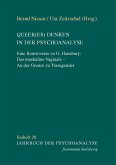 Queer(es) Denken in der Psychoanalyse (eBook, PDF)